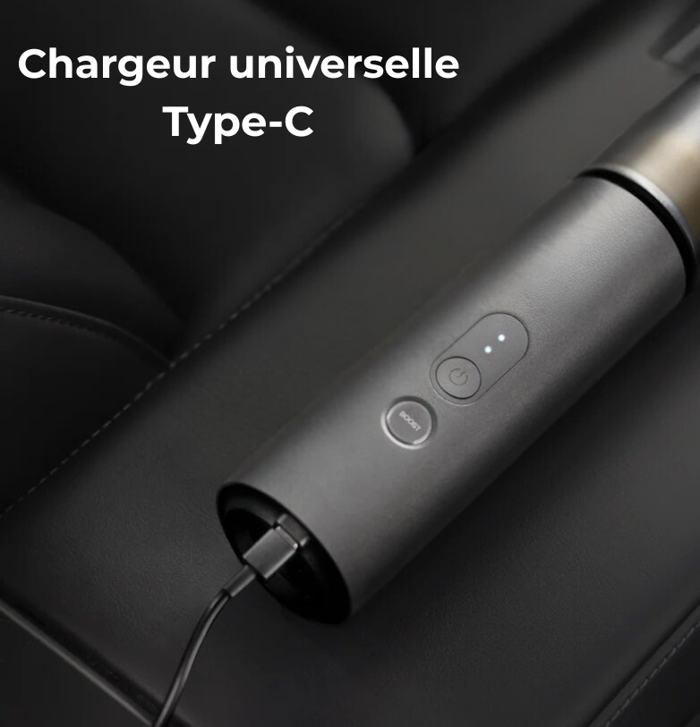 ACEPI Aspirateur & Souffleur Automobile